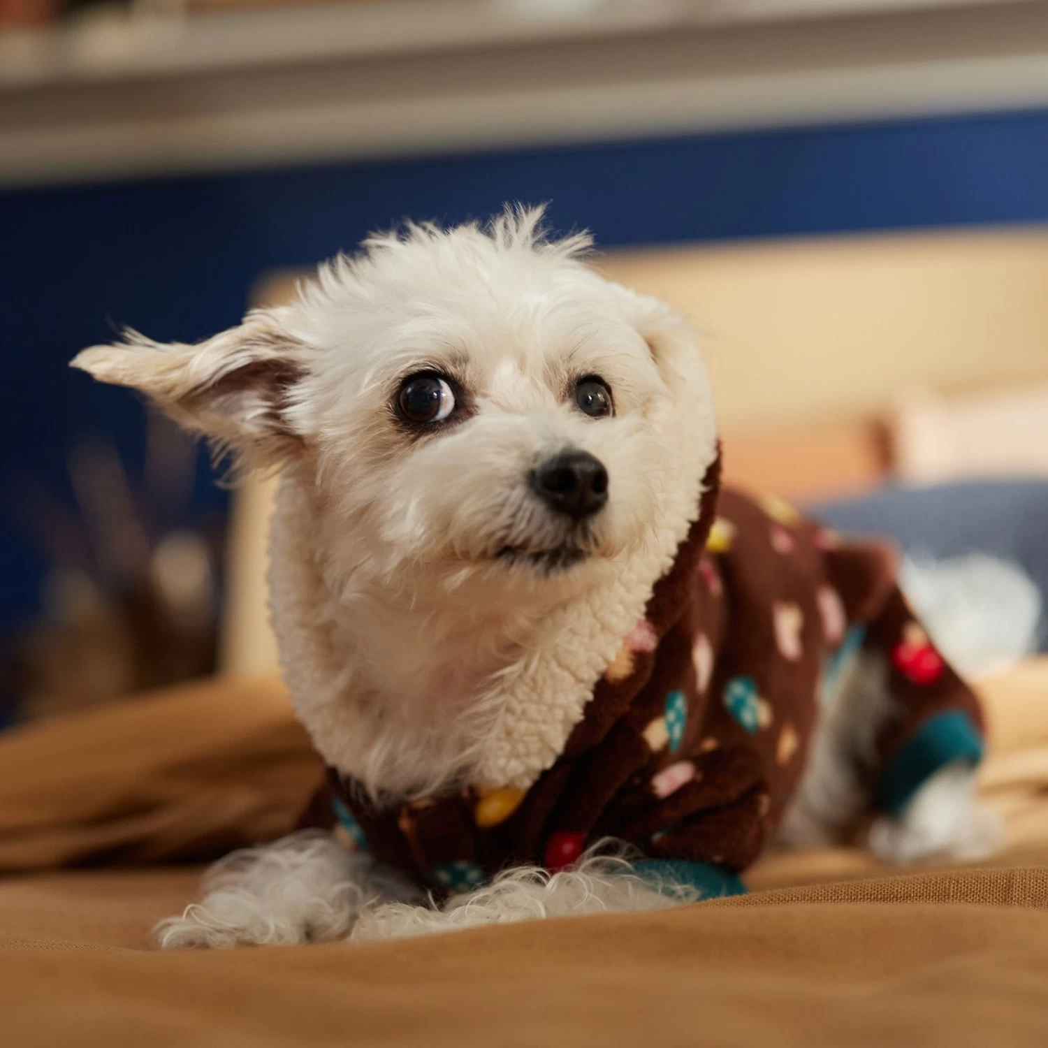 Frisco Cozy Plush Fleece Dog & Cat PJs, Mushrooms - Image 7