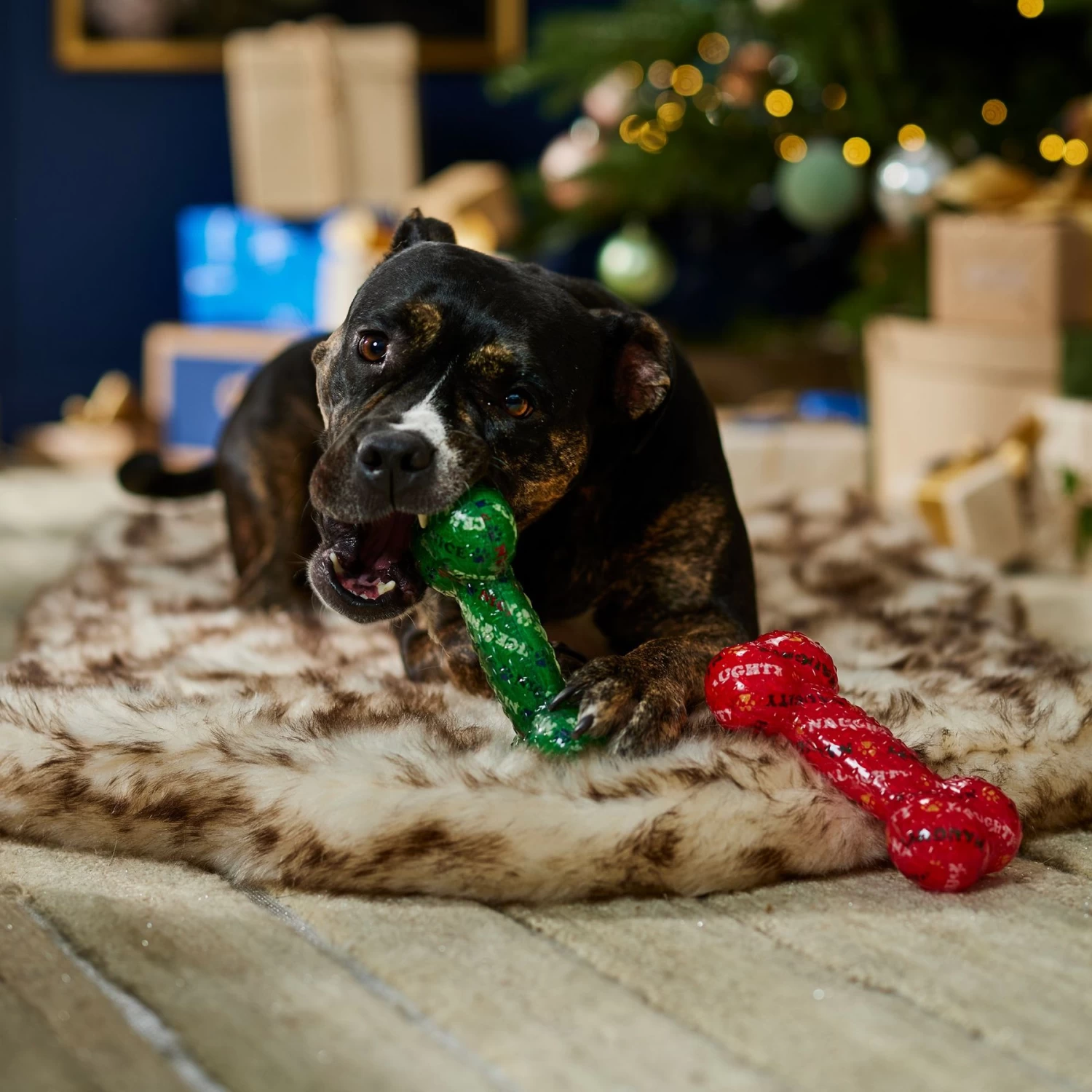 Frisco Holiday Naughty & Nice TPR Bone Squeaky Dog Toy - Image 3