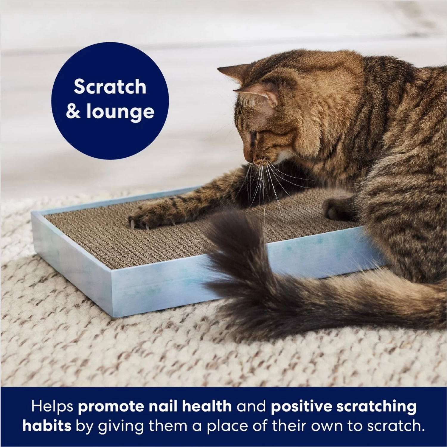 Frisco Double-Wide Cat Scratcher Toy Refill With Catnip, 2 Count & Frisco Double-Wide Cat Scratcher Toy With Catnip - Image 8