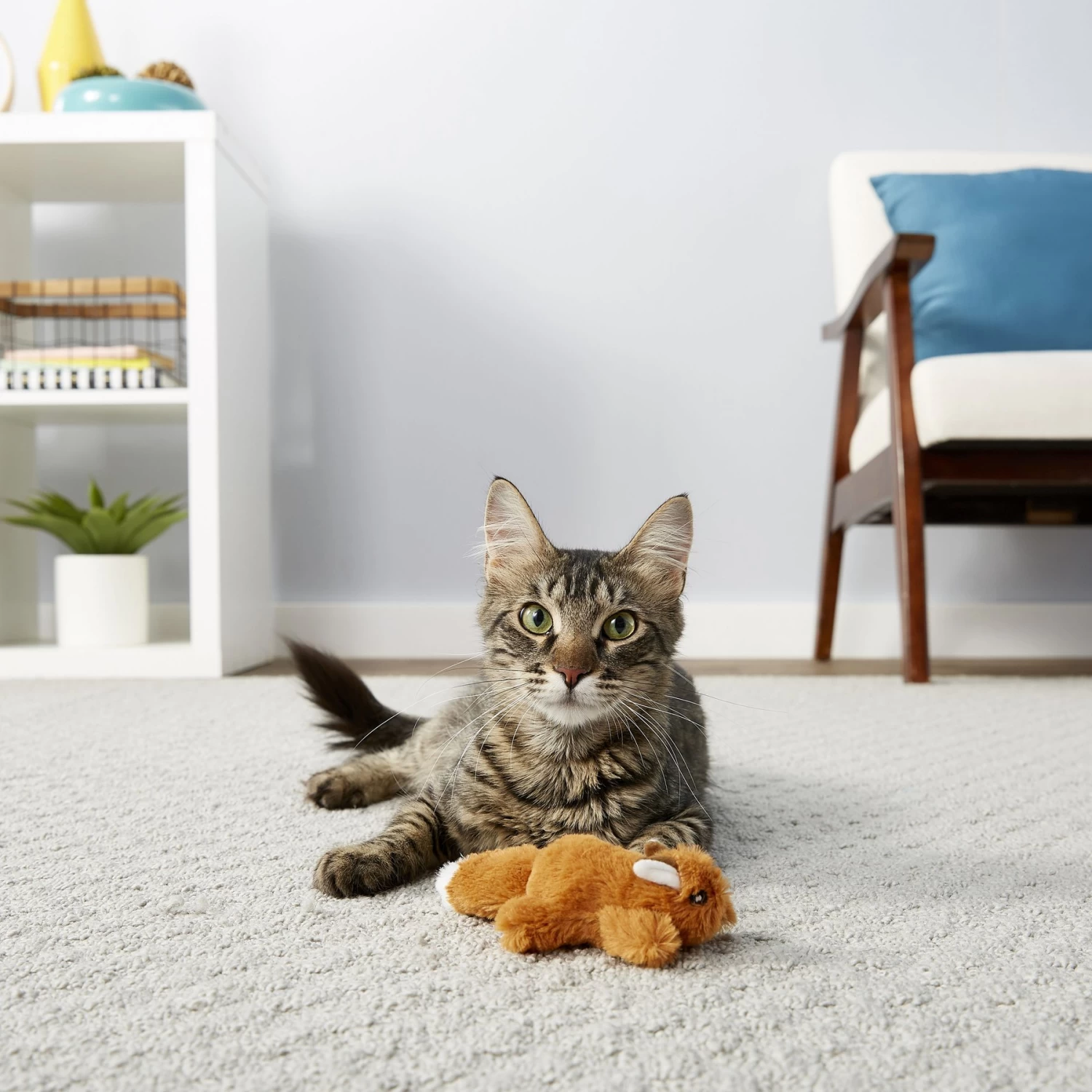 Frisco Squirrel Plush Cat Toy With Refillable Catnip & Frisco Bird With Feathers Teaser Wand Cat Toy With Catnip - Image 5